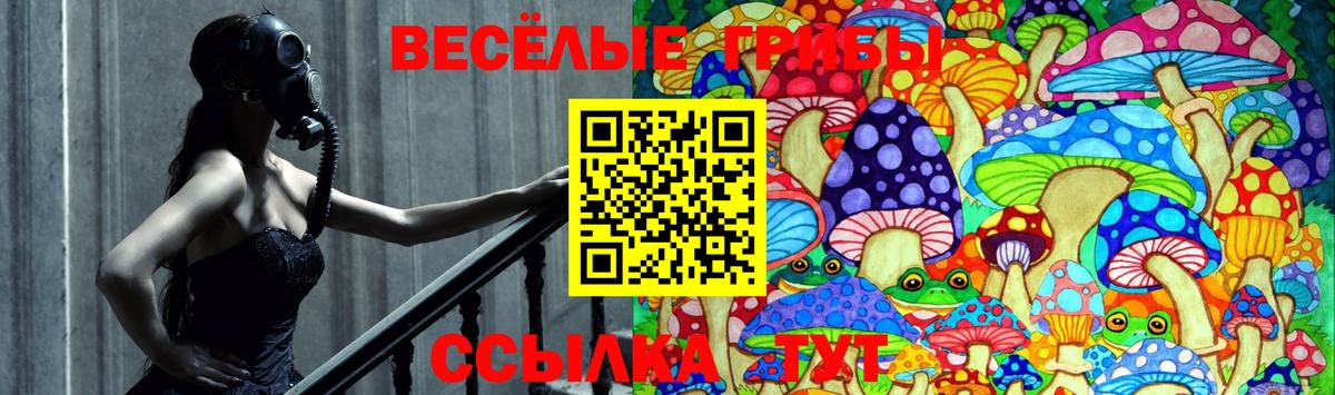 Псилоцибиновые грибы Cubensis  Вход с VPN  Ирбит 